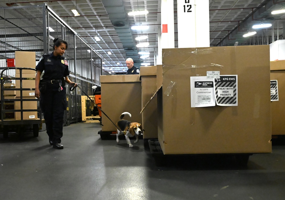 CBP K9 Handlers search for counterfeit pharmaceuticals at JFK