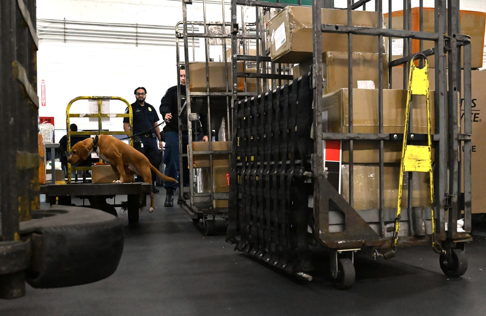 CBP K9 Handlers search for counterfeit pharmaceuticals at JFK