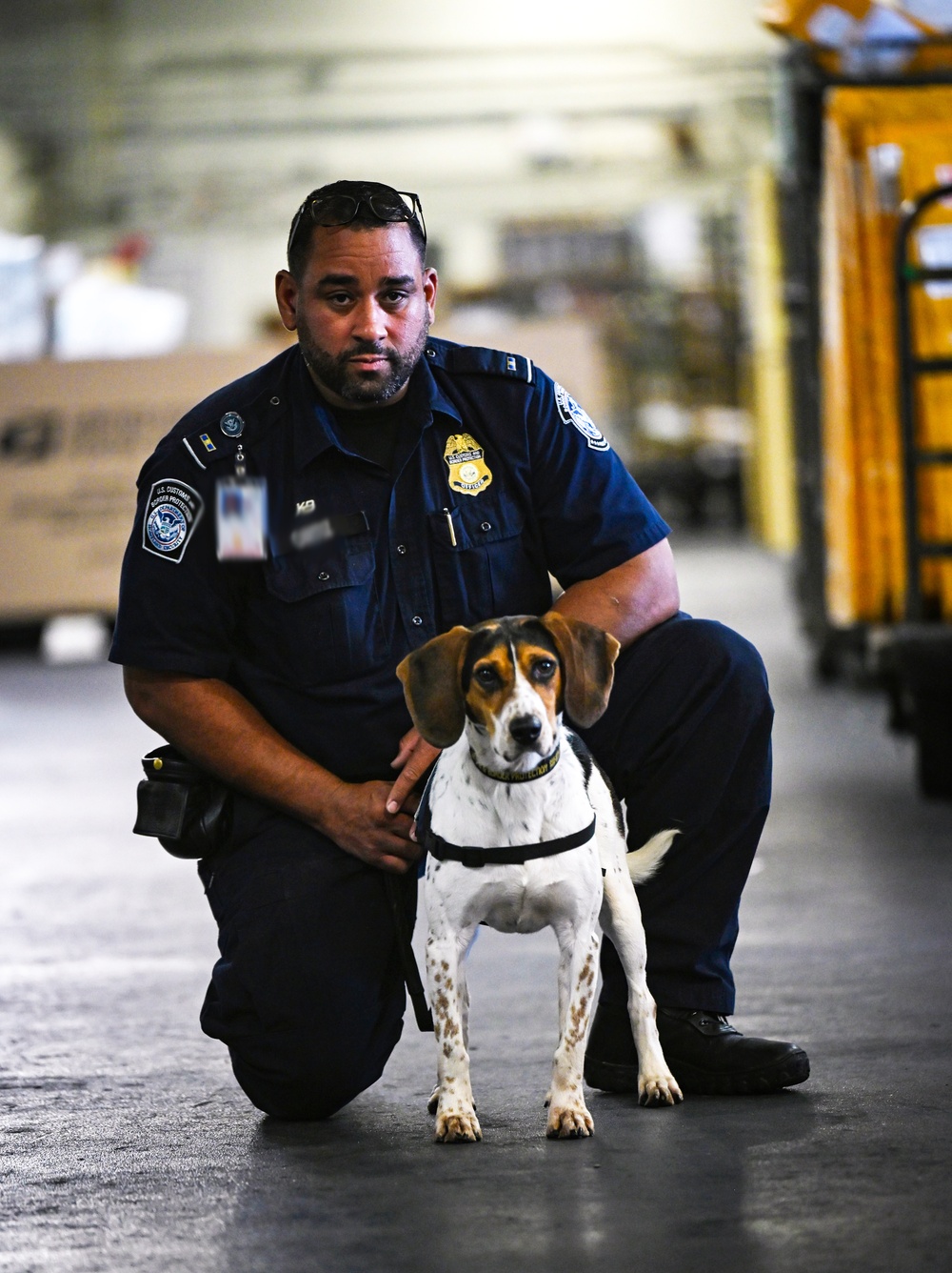 CBP K9 Handlers search for counterfeit pharmaceuticals at JFK