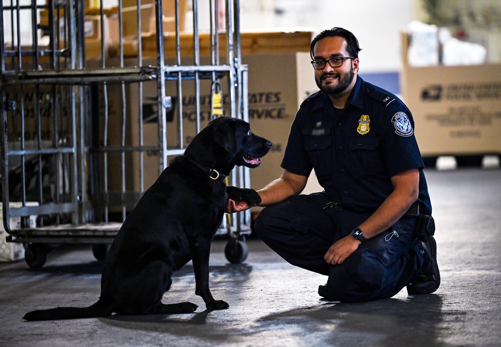 CBP K9 Handlers search for counterfeit pharmaceuticals at JFK