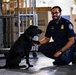 CBP K9 Handlers search for counterfeit pharmaceuticals at JFK