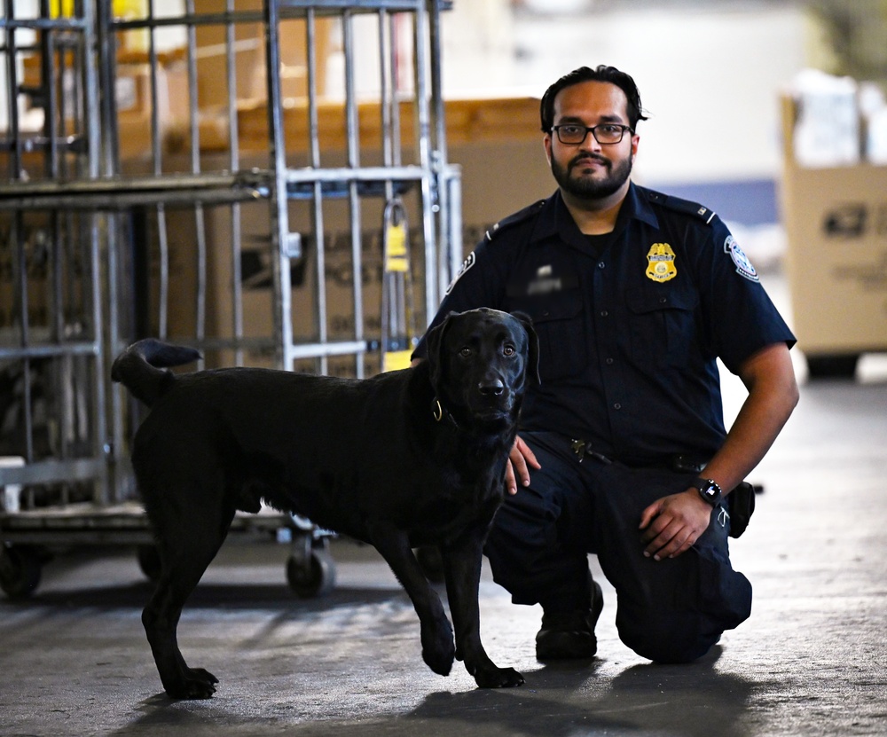 CBP K9 Handlers search for counterfeit pharmaceuticals at JFK