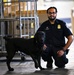 CBP K9 Handlers search for counterfeit pharmaceuticals at JFK