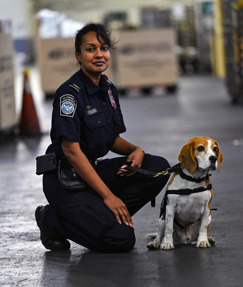 CBP K9 Handlers search for counterfeit pharmaceuticals at JFK