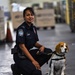 CBP K9 Handlers search for counterfeit pharmaceuticals at JFK