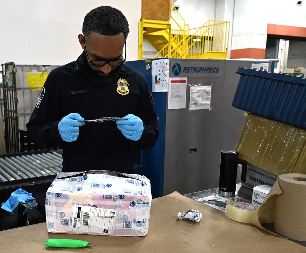 JFK Counterfeit Pharmaceuticals (Deminimus) Inspection