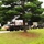 Fort McCoy LRC’s food-service team supports CSTX 86-24-02, 2024 Global Medic Fort McCoy LRC’s food-service team supports CSTX 86-24-02, 2024 Global Medic