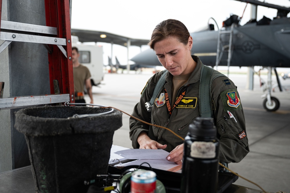 F-15E Pilot