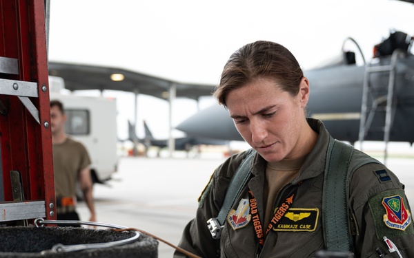 F-15E Pilot