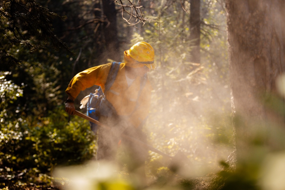 DoD Wildland Firefighting Response