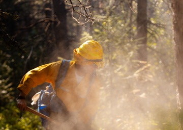 DoD Wildland Firefighting Response