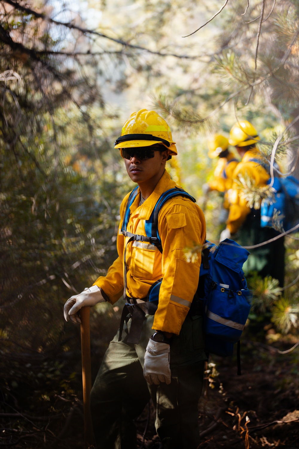 DoD Wildland Firefighting Response