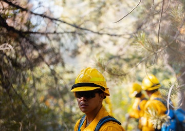 DoD Wildland Firefighting Response