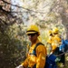 DoD Wildland Firefighting Response