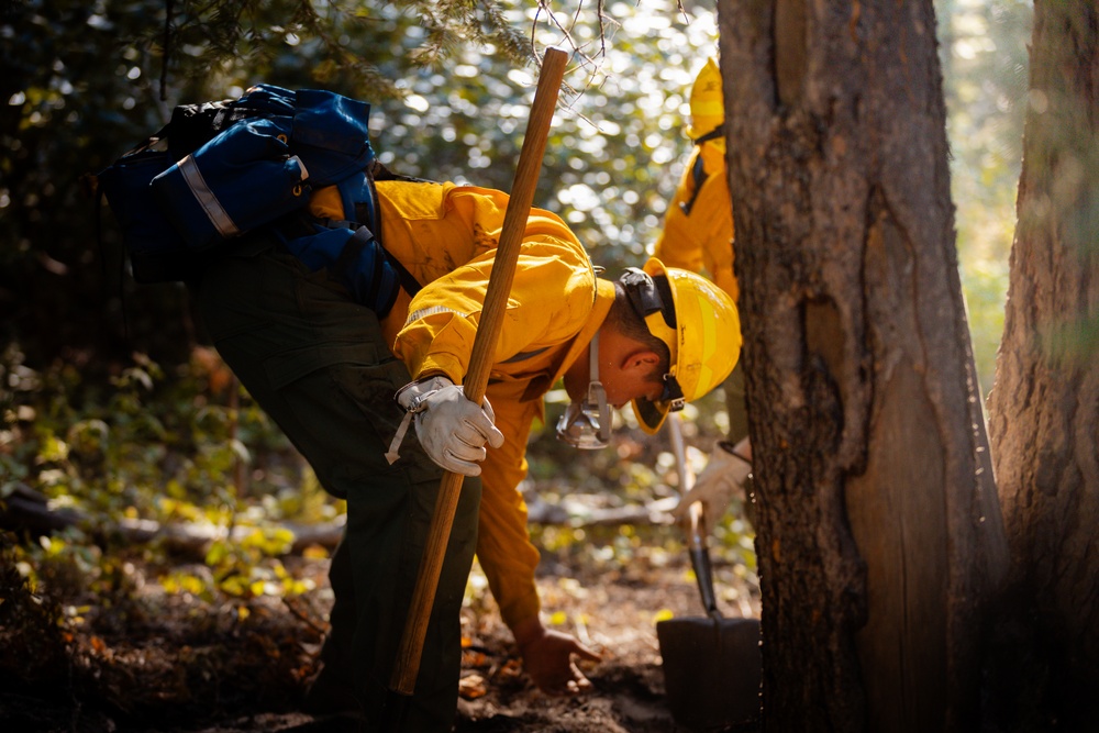 DoD Wildland Firefighting Response