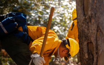 DoD Wildland Firefighting Response