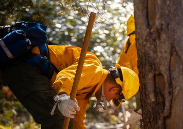 DoD Wildland Firefighting Response