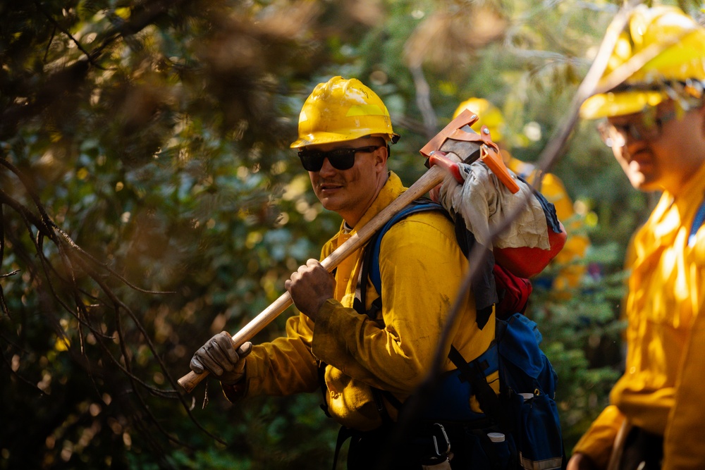 DoD Wildland Firefighting Response