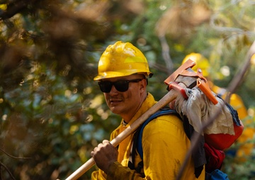 DoD Wildland Firefighting Response