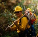 DoD Wildland Firefighting Response