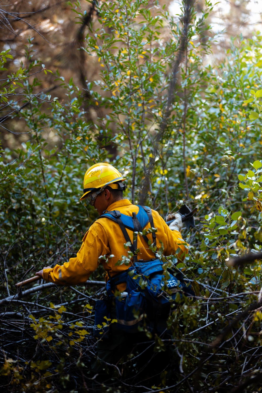 DoD Wildland Firefighting Response