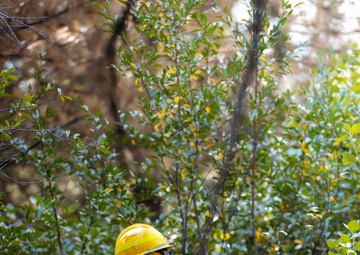 DoD Wildland Firefighting Response