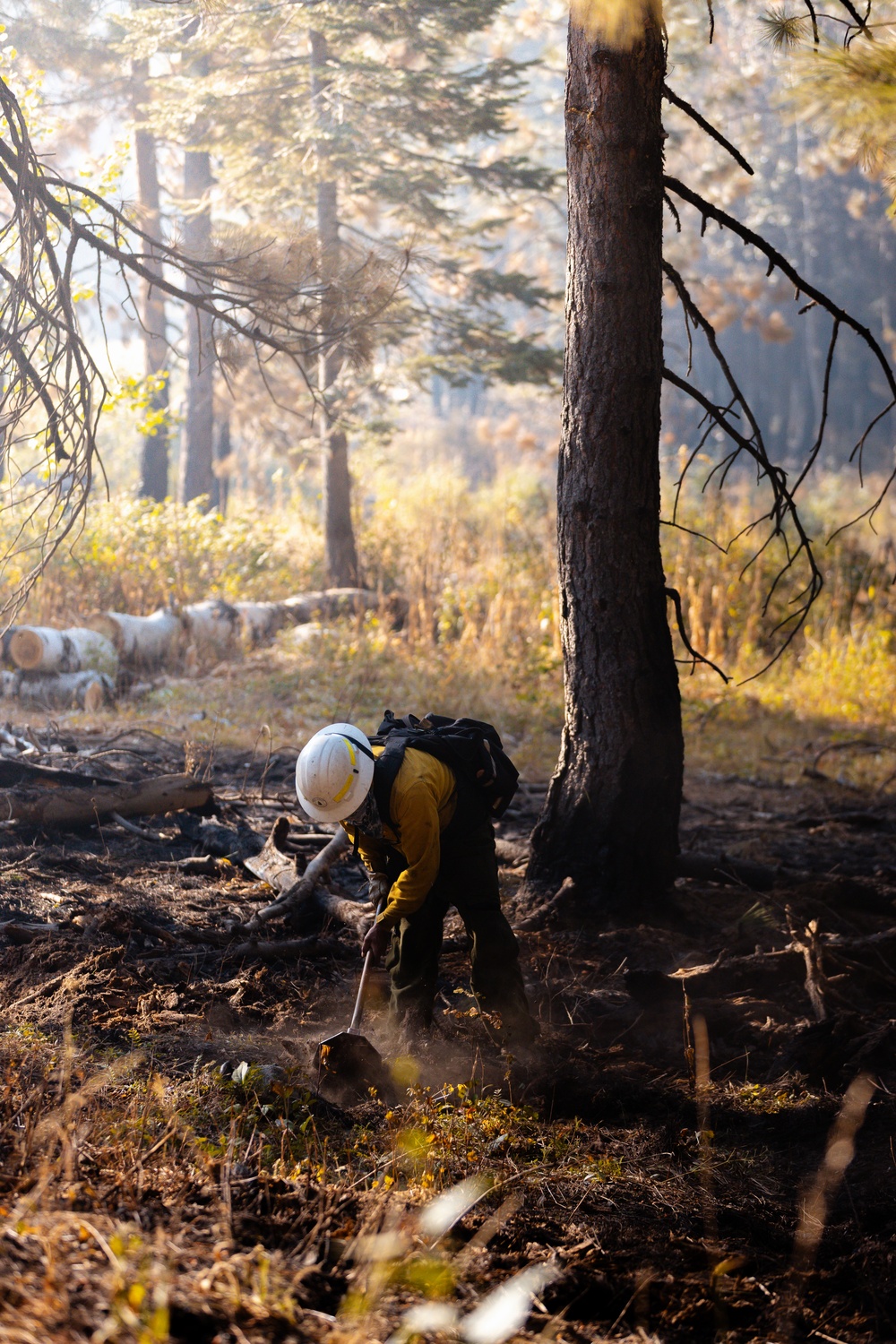 DoD Wildland Firefighting Response