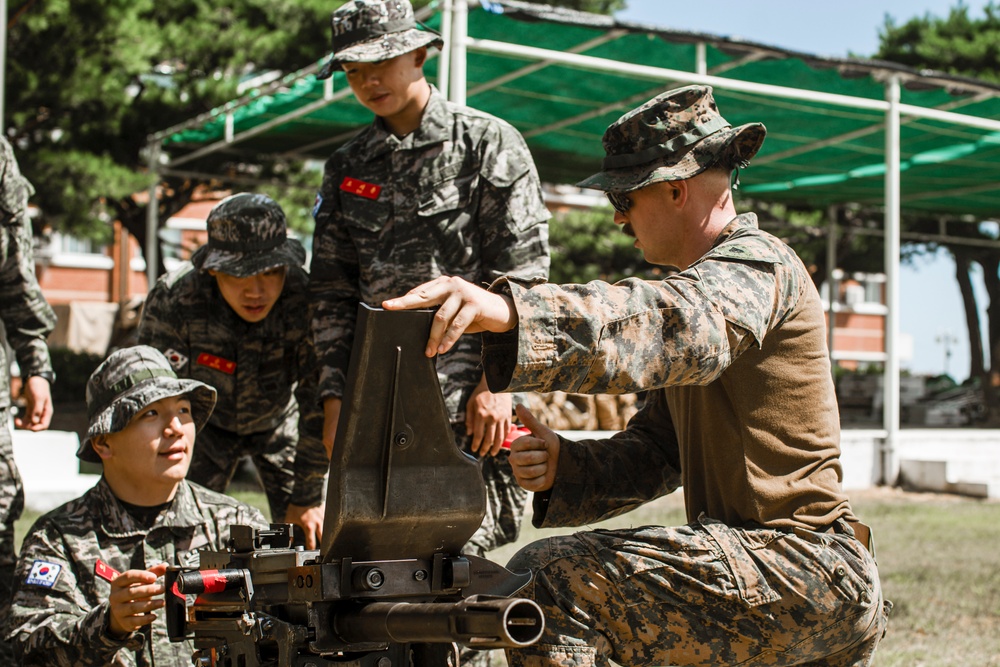 Knowledge Is Power: BLT 1/5 Conducts Exchange with ROK Marines
