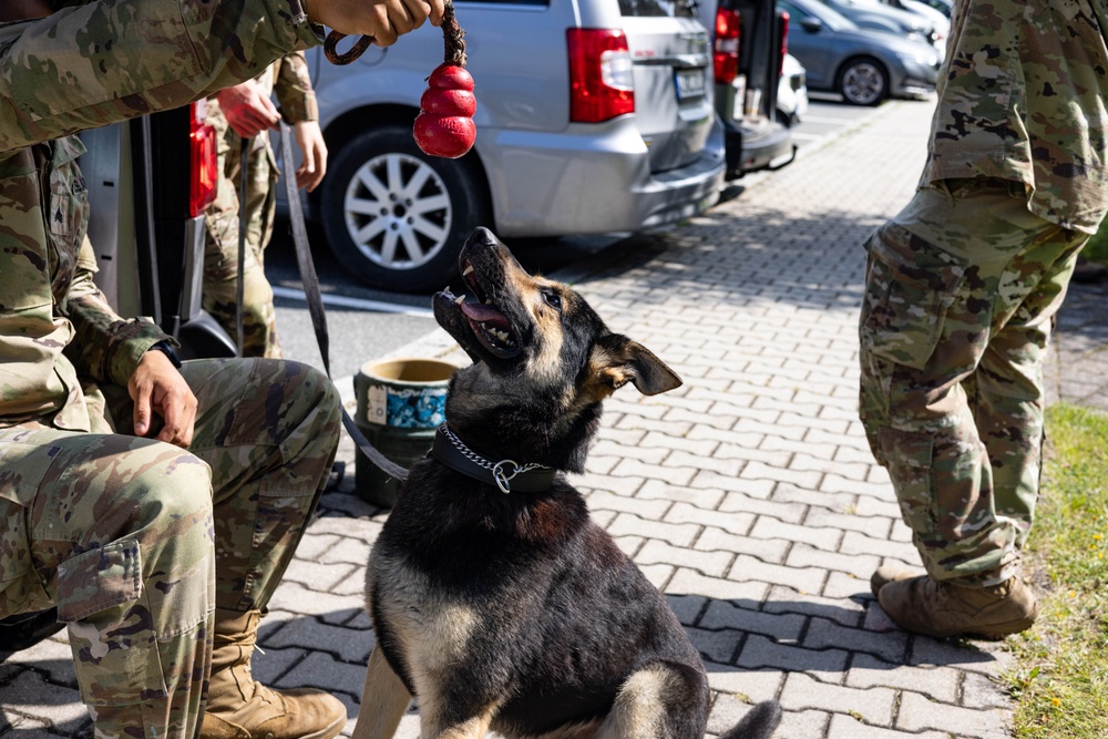Combined Military Working Dog Detachment - Europe Certifications