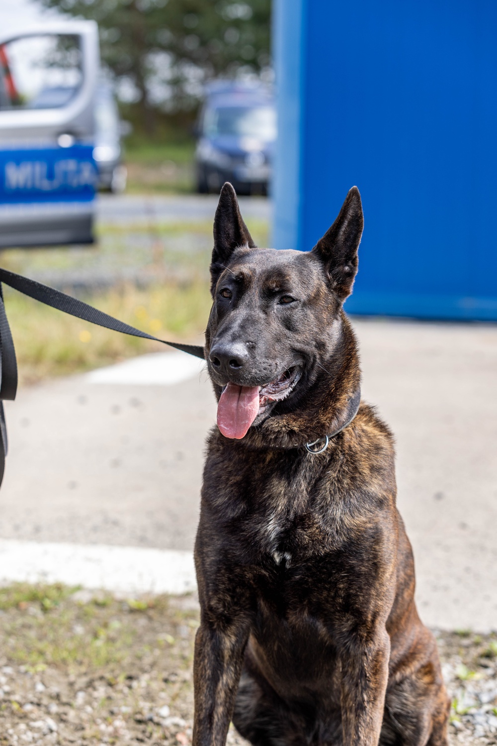 Combined Military Working Dog Detachment - Europe Certifications