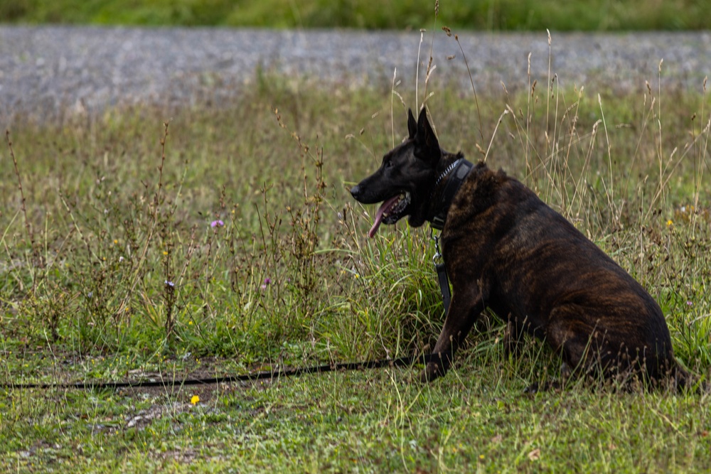 Combined Military Working Dog Detachment - Europe Certifications