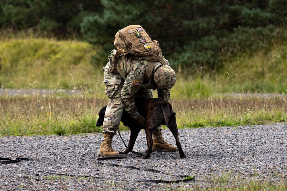 Combined Military Working Dog Detachment - Europe Certifications