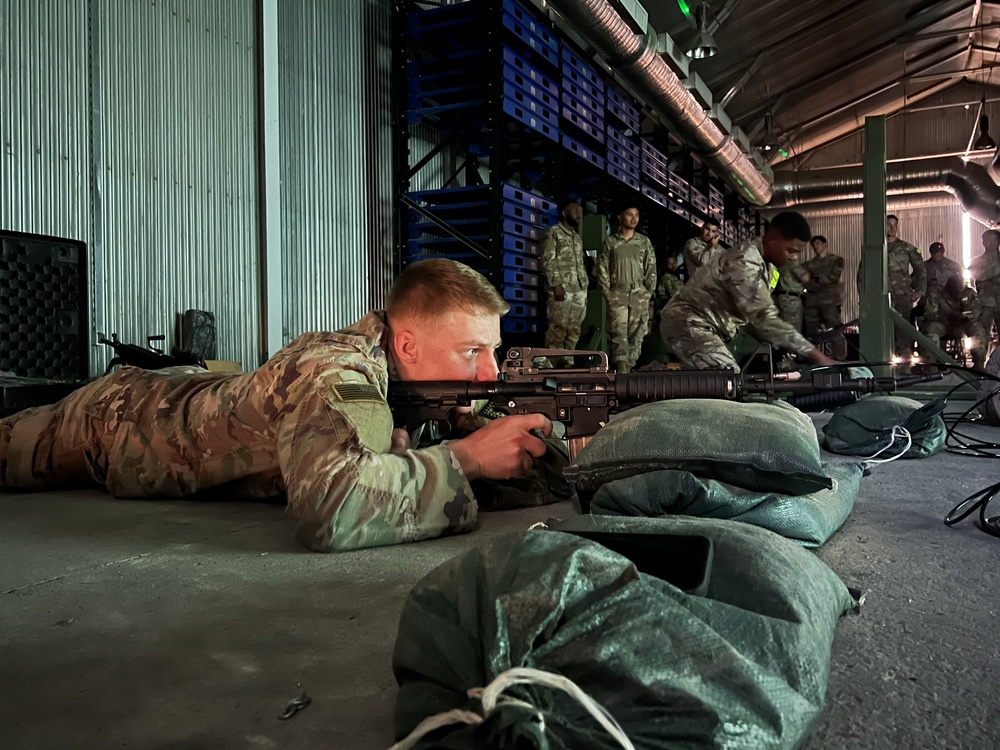 Best Warrior of the Rotation Competition: Engagement Skills Trainer (EST)