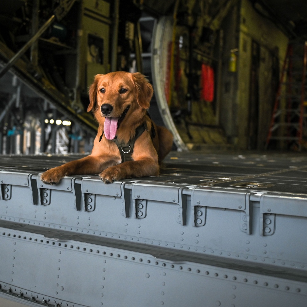 One year of Koda at the 139th Airlift Wing