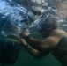 Navy EOD King Crab Competition - Floating Mine Response