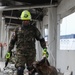 Collapsed Building Exercise in Panama