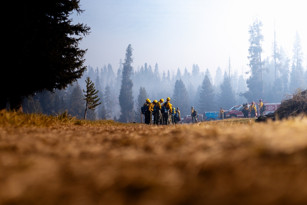 DoD Wildland Firefighting Response