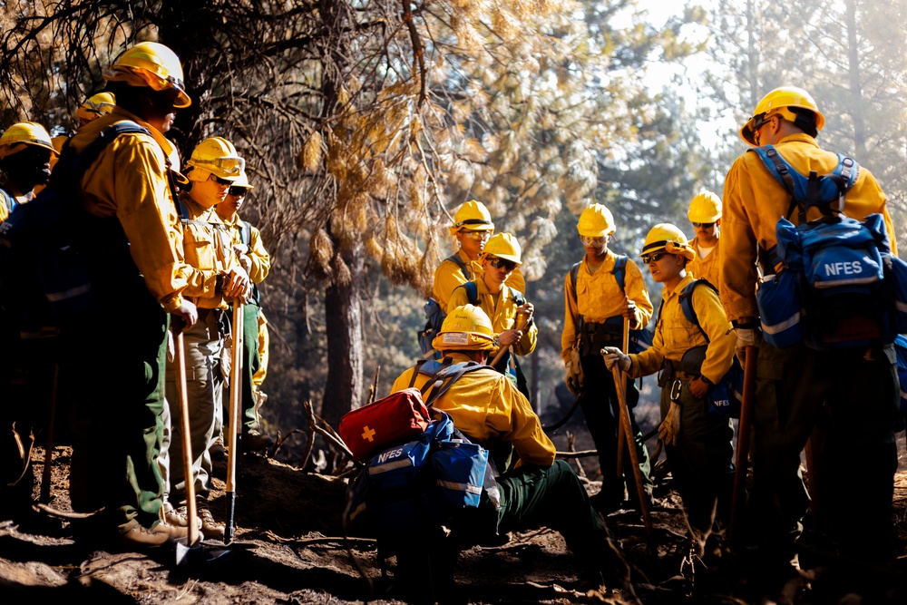 DoD Wildland Firefighting Response