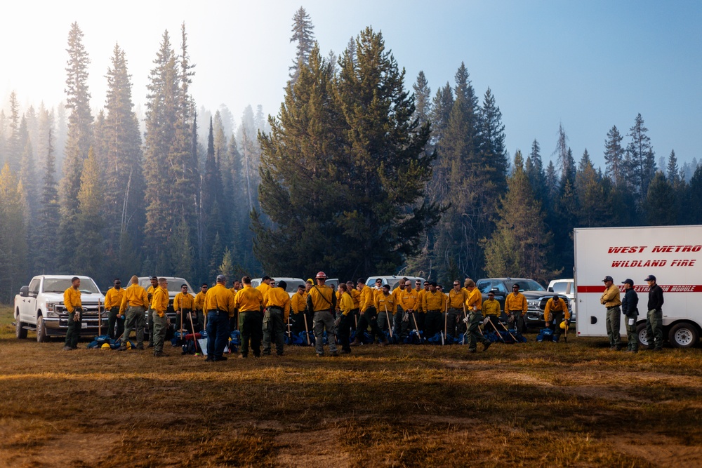 DoD Wildland Firefighting Response