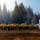 DoD Wildland Firefighting Response
