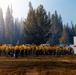 DoD Wildland Firefighting Response