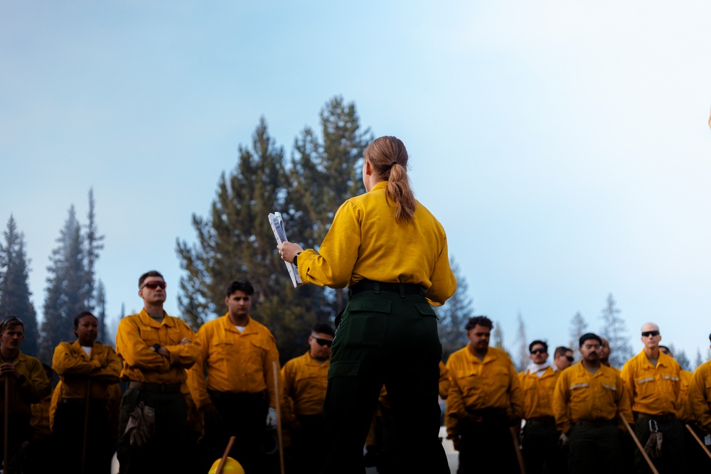 DoD Wildland Firefighting Response