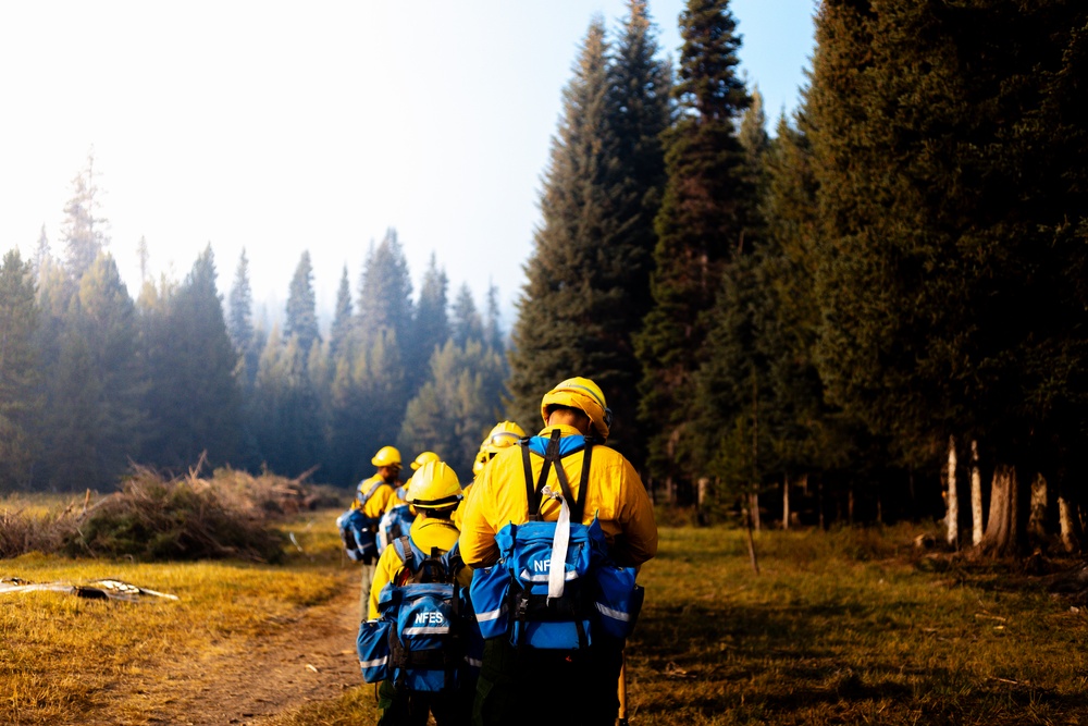 DoD Wildland Firefighting Response