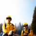 DoD Wildland Firefighting Response