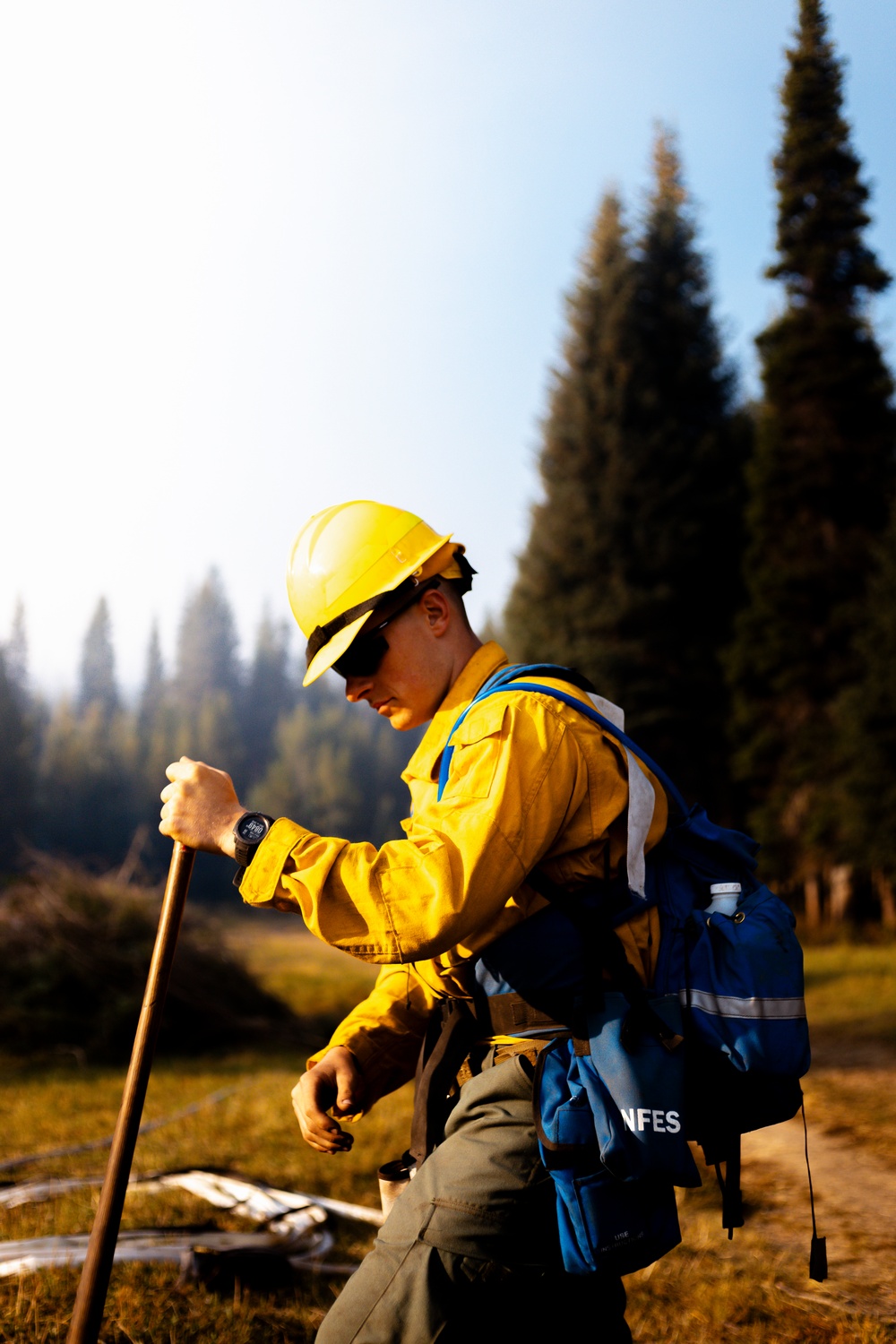 DoD Wildland Firefighting Response