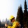 DoD Wildland Firefighting Response