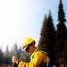 DoD Wildland Firefighting Response