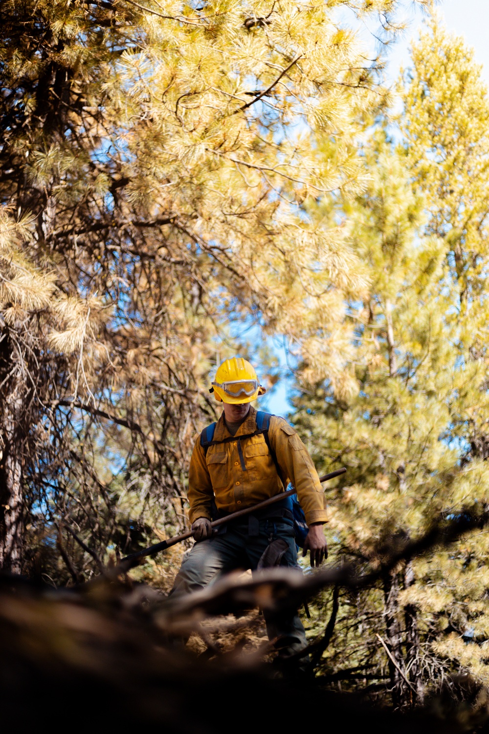 DoD Wildland Firefighting Response