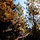 DoD Wildland Firefighting Response
