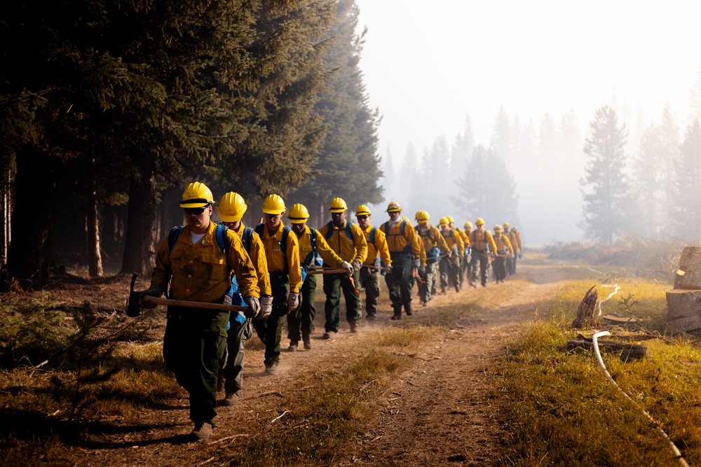 DoD Wildland Firefighting Response